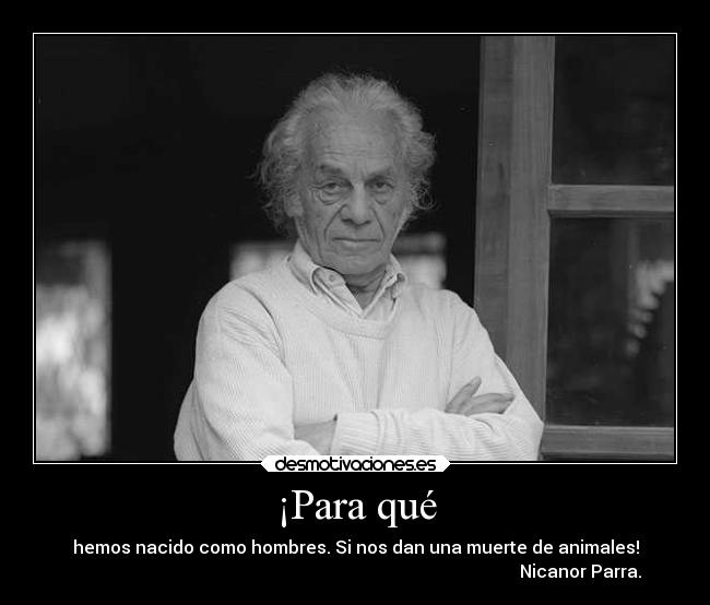 ¡Para qué - hemos nacido como hombres. Si nos dan una muerte de animales!
                                                                                                       Nicanor Parra.