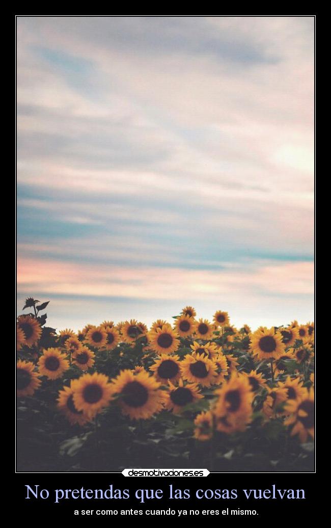 No pretendas que las cosas vuelvan -