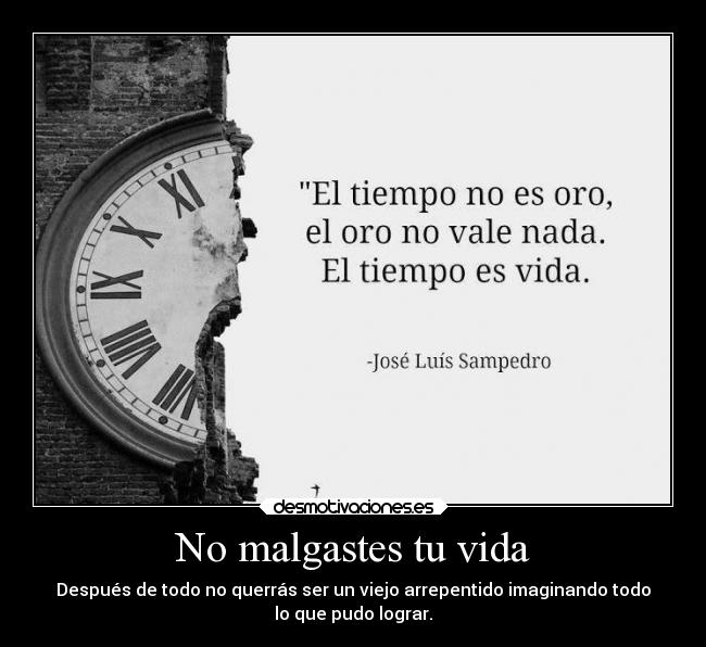 No malgastes tu vida -