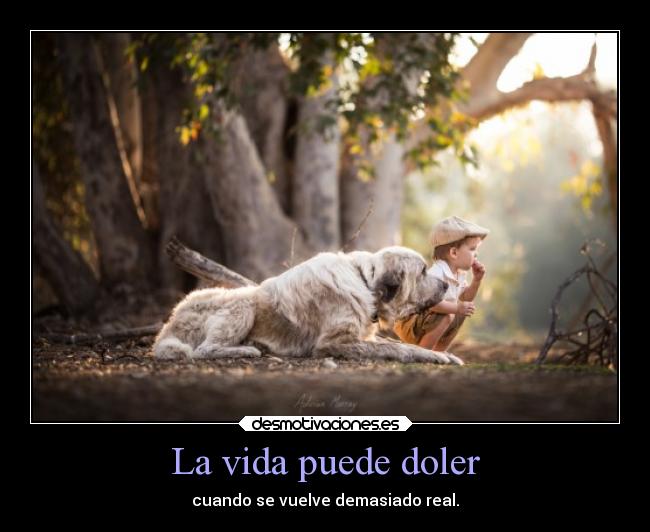 La vida puede doler - 