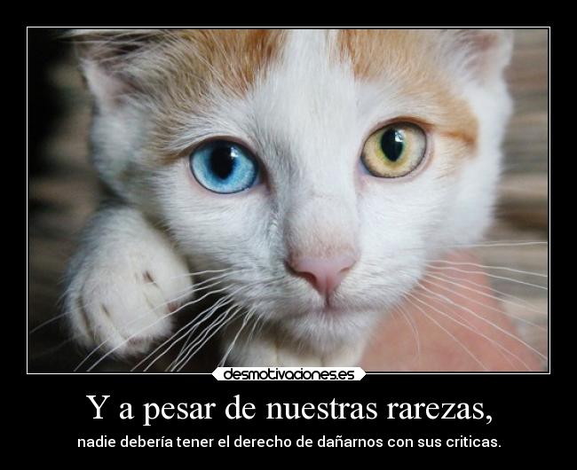Y a pesar de nuestras rarezas, - nadie debería tener el derecho de dañarnos con sus criticas.