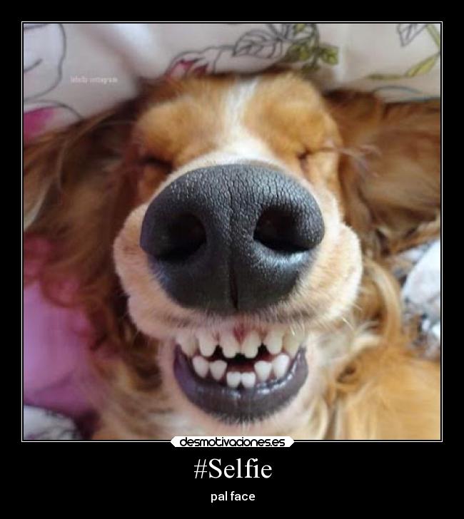 #Selfie -