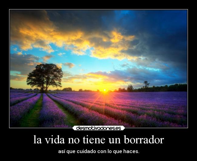 carteles vida frases vida desmotivaciones