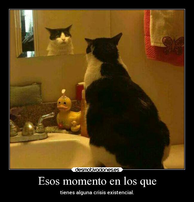 carteles vida humor breathe crisis preguntas breathebreathe desmotivaciones