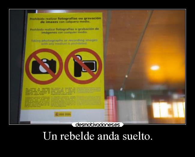 Un rebelde anda suelto. -