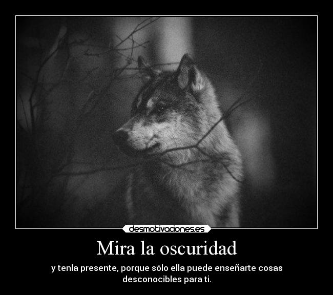 Mira la oscuridad - 