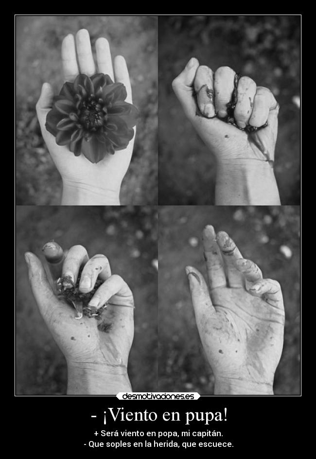 - ¡Viento en pupa! -