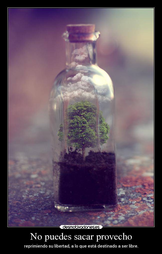 No puedes sacar provecho - reprimiendo su libertad, a lo que está destinado a ser libre.