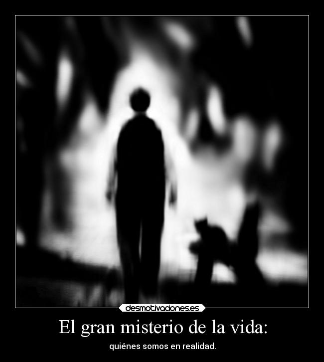 carteles vida muerte amm y5y6 desmotivaciones