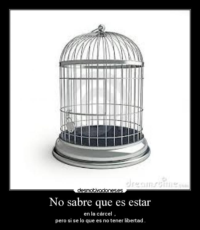 No sabre que es estar -