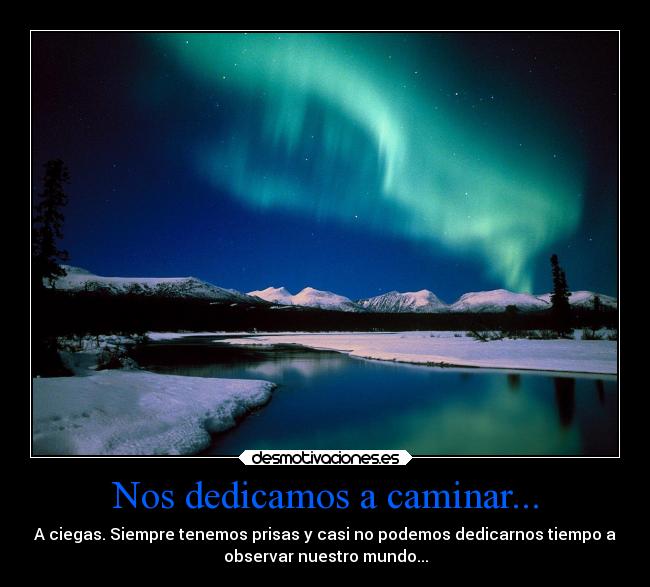 Nos dedicamos a caminar... -