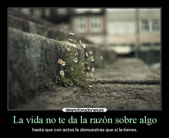 La vida no te da la razón sobre algo - hasta que con actos le demuestras que sí la tienes.