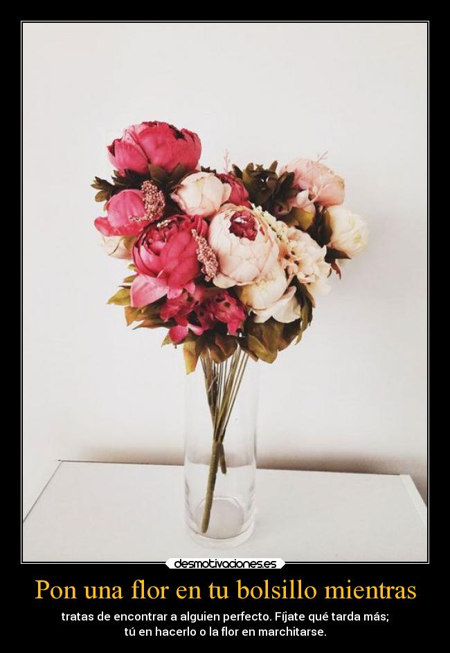 Pon una flor en tu bolsillo mientras - 