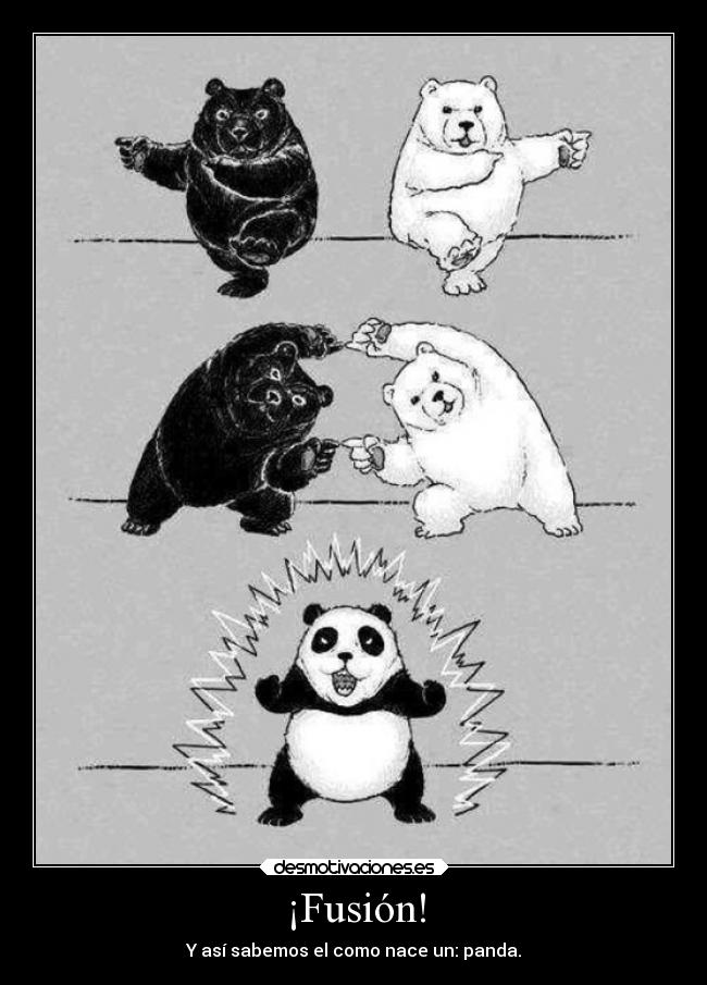¡Fusión! - Y así sabemos el como nace un: panda.