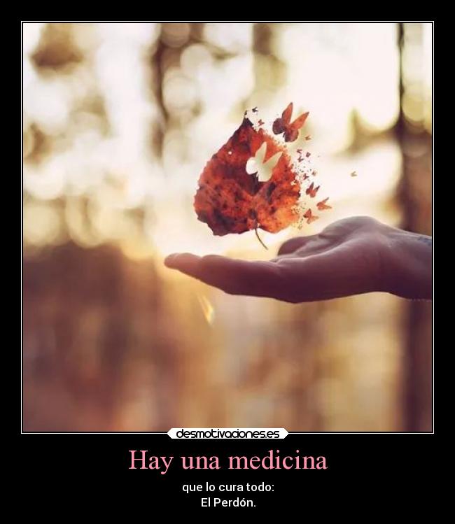 carteles vida perdon desmotivaciones