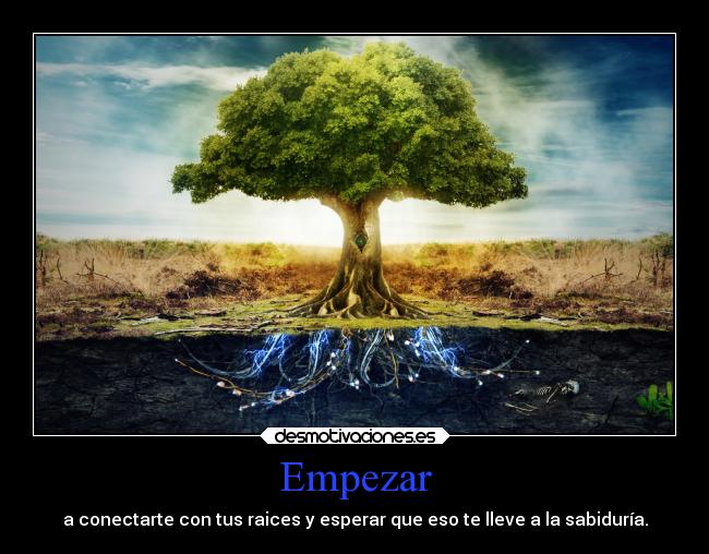 carteles vida sabiduria desmotivaciones