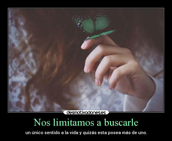 Nos limitamos a buscarle - 