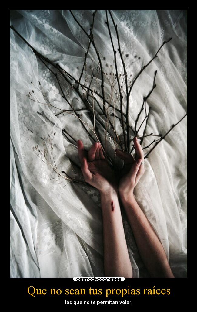 carteles vida zarcortgame clanfhag desmotivaciones