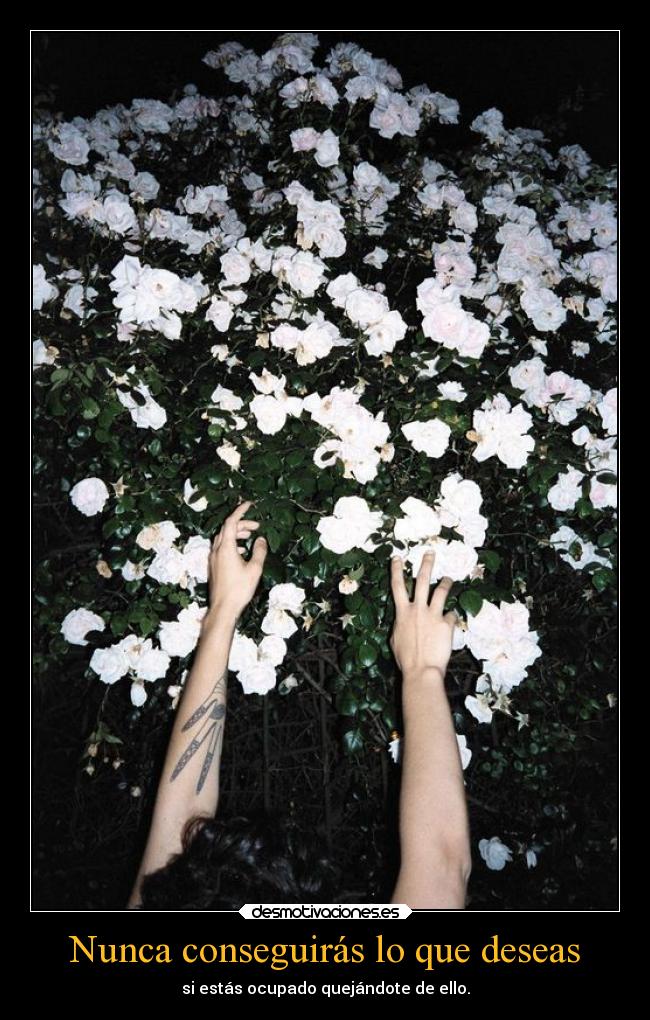 Nunca conseguirás lo que deseas -