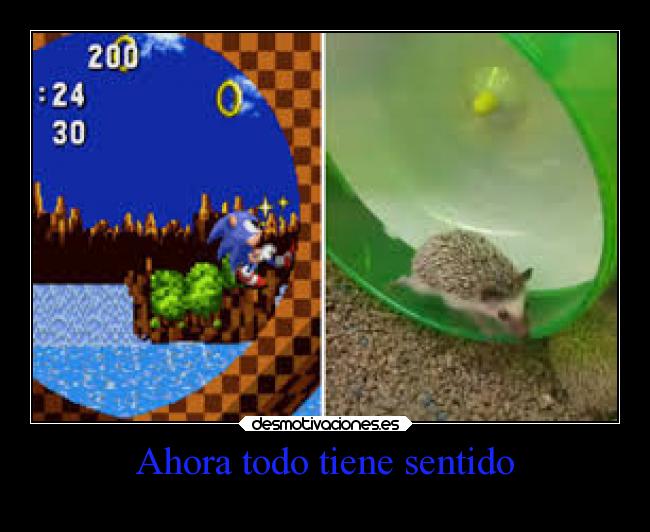 Ahora todo tiene sentido - 