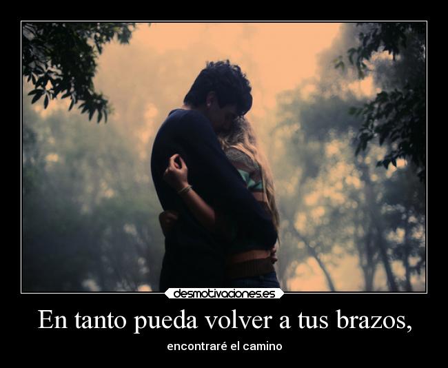 carteles abrazos amor shimakirikirkland slipkdemon clandesplazado abrazo quieromas desmotivaciones