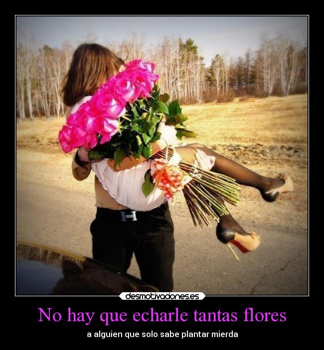 No hay que echarle tantas flores -