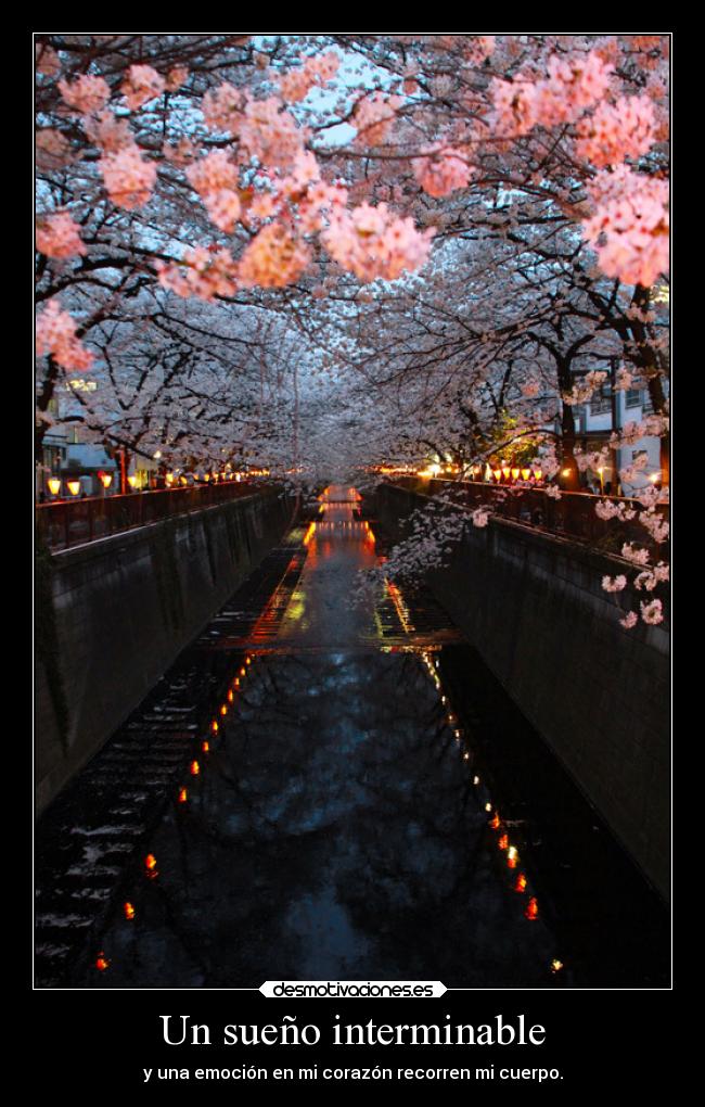 Un sueño interminable -