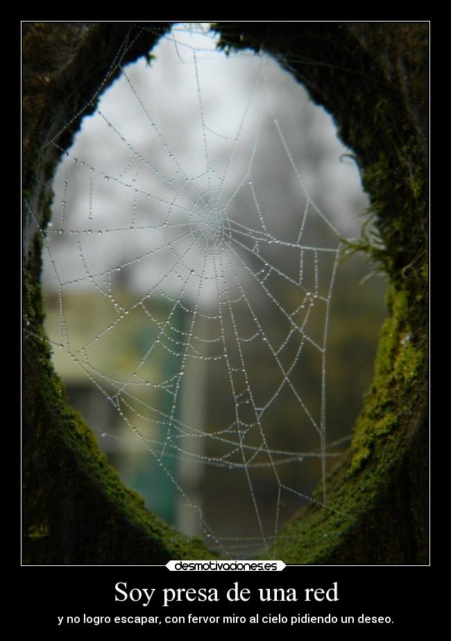 Soy presa de una red - 