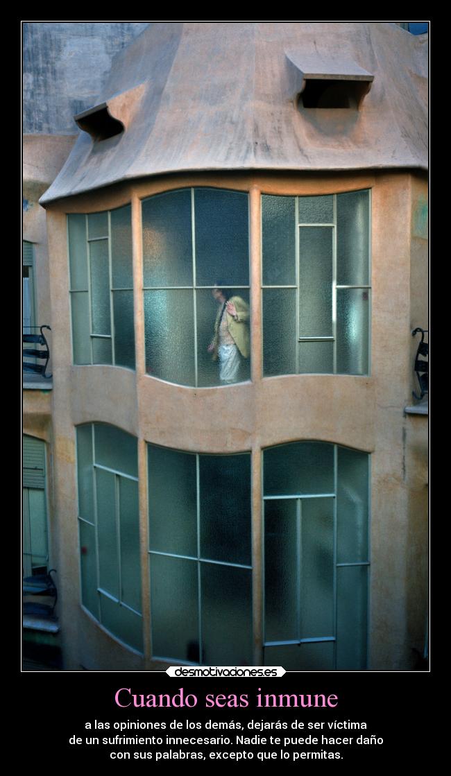 carteles alma opinion fuerza calma desmotivaciones