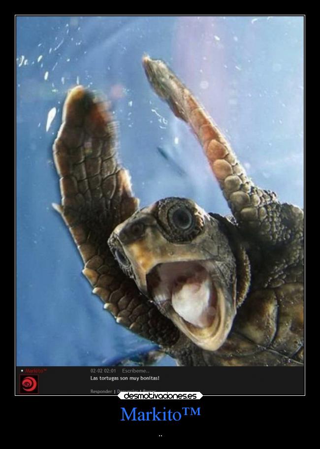 carteles alma sinoloentiendesmeloresbalaolimpicamente proyectoescribemeunafrase desmotivaciones