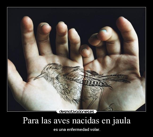 Para las aves nacidas en jaula - 