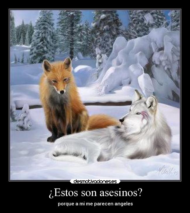 ¿Estos son asesinos? -