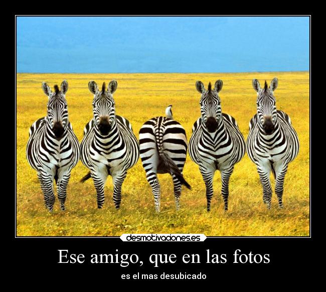 carteles amigos desmotivaciones