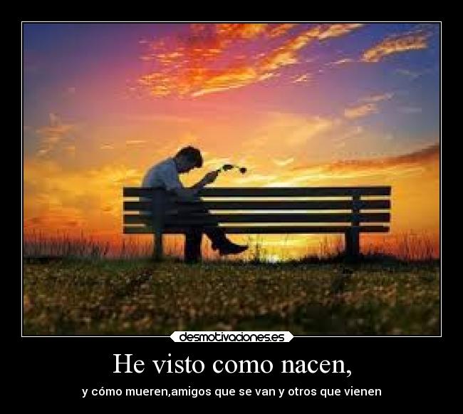 He visto como nacen, -