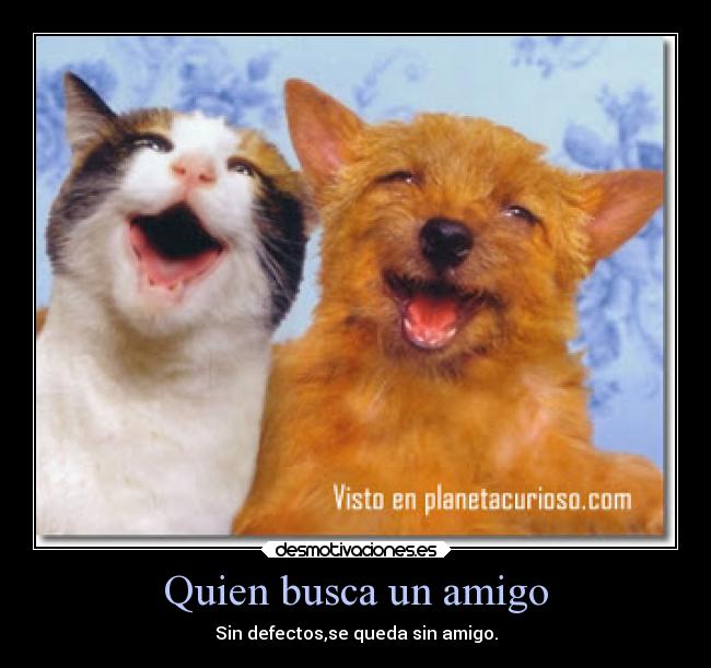 Quien busca un amigo - Sin defectos,se queda sin amigo.