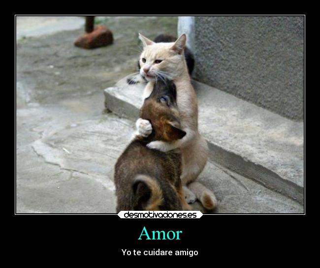 carteles amor abrazos desmotivaciones