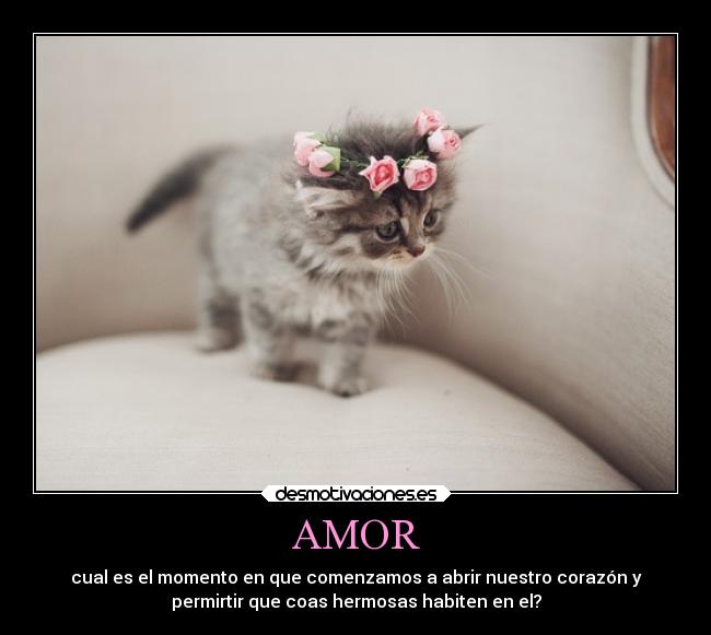 carteles amor alma amor cuando amamos desmotivaciones