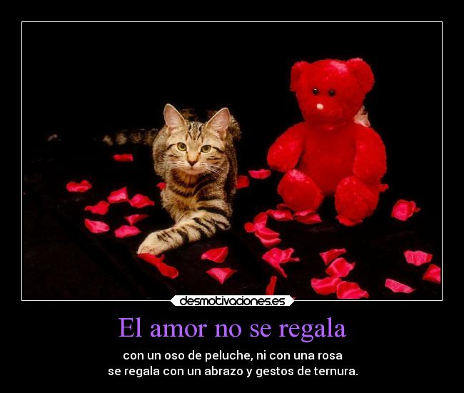 El amor no se regala - con un oso de peluche, ni con una rosa
se regala con un abrazo y gestos de ternura.