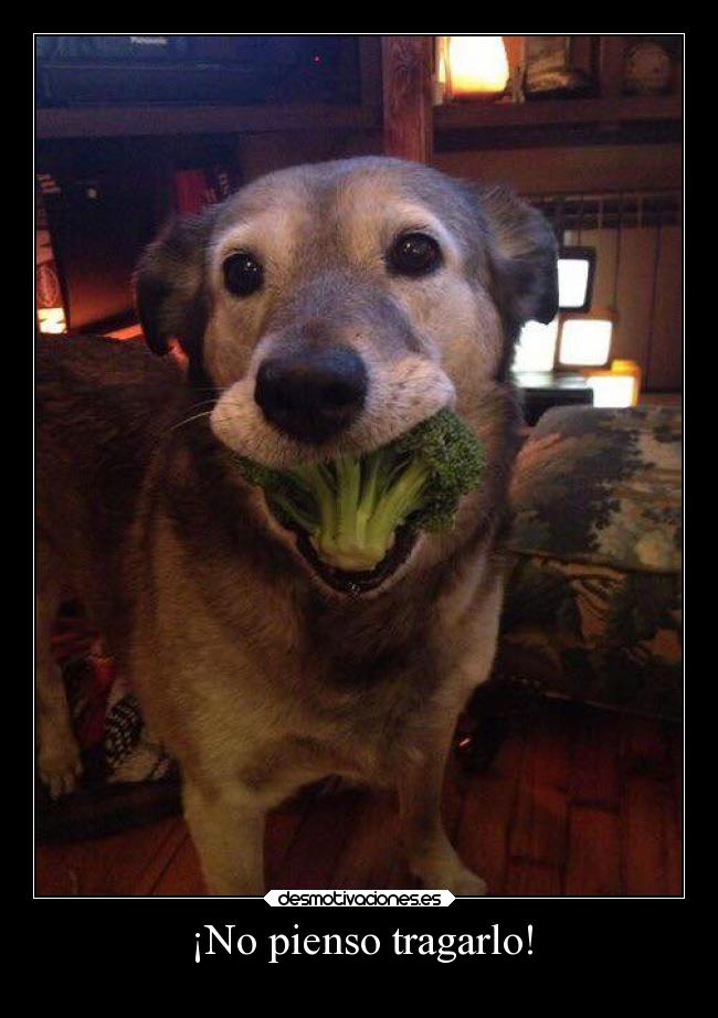 ¡No pienso tragarlo! -