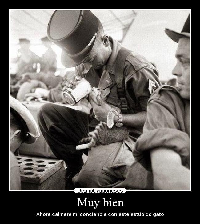 Muy bien - Ahora calmare mi conciencia con este estúpido gato