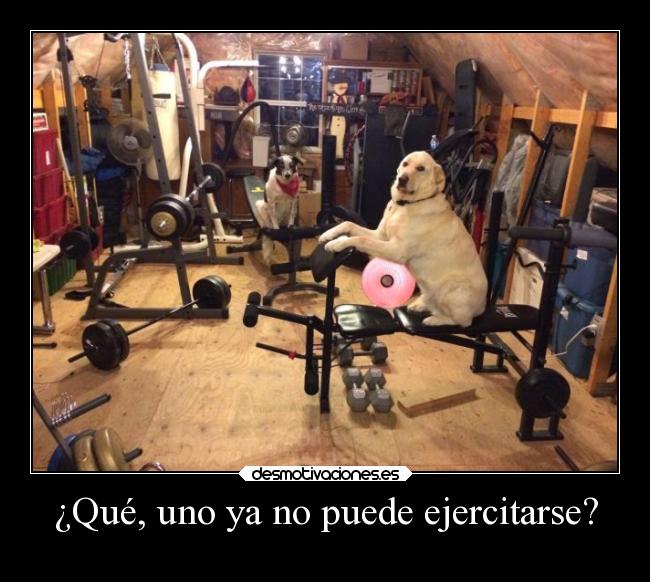 ¿Qué, uno ya no puede ejercitarse? - 