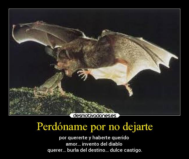 Perdóname por no dejarte - por quererte y haberte querido
amor... invento del diablo
querer... burla del destino... dulce castigo.