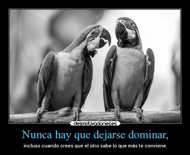 Nunca hay que dejarse dominar, - incluso cuando crees que el otro sabe lo que más te conviene.