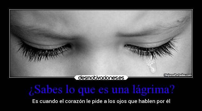 ¿Sabes lo que es una lágrima? - 