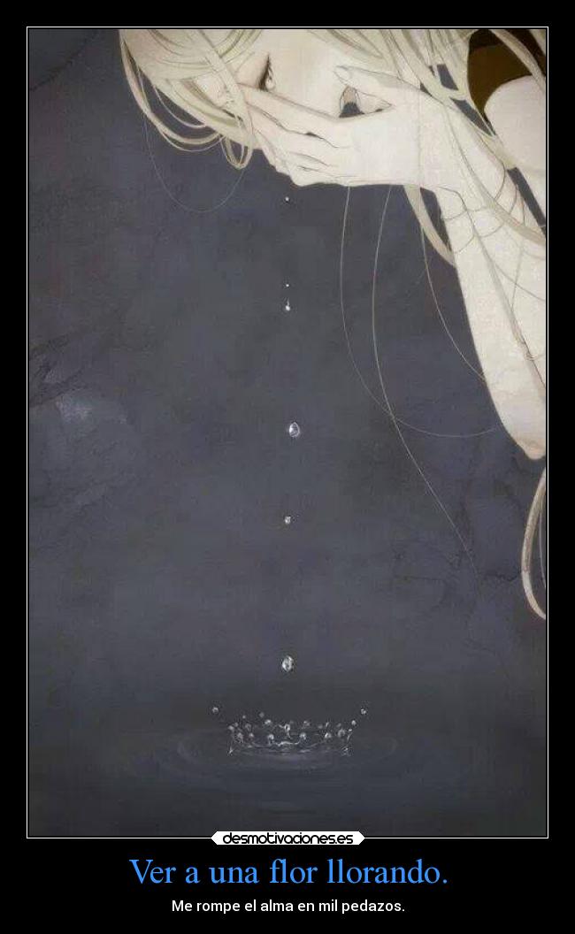 Ver a una flor llorando. - Me rompe el alma en mil pedazos.