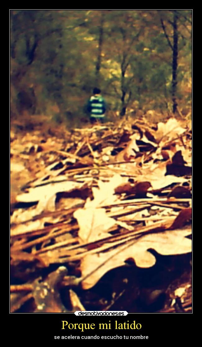Porque mi latido - 