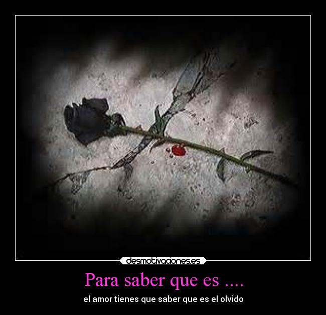 Para saber que es .... - 