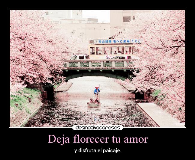 Deja florecer tu amor - 