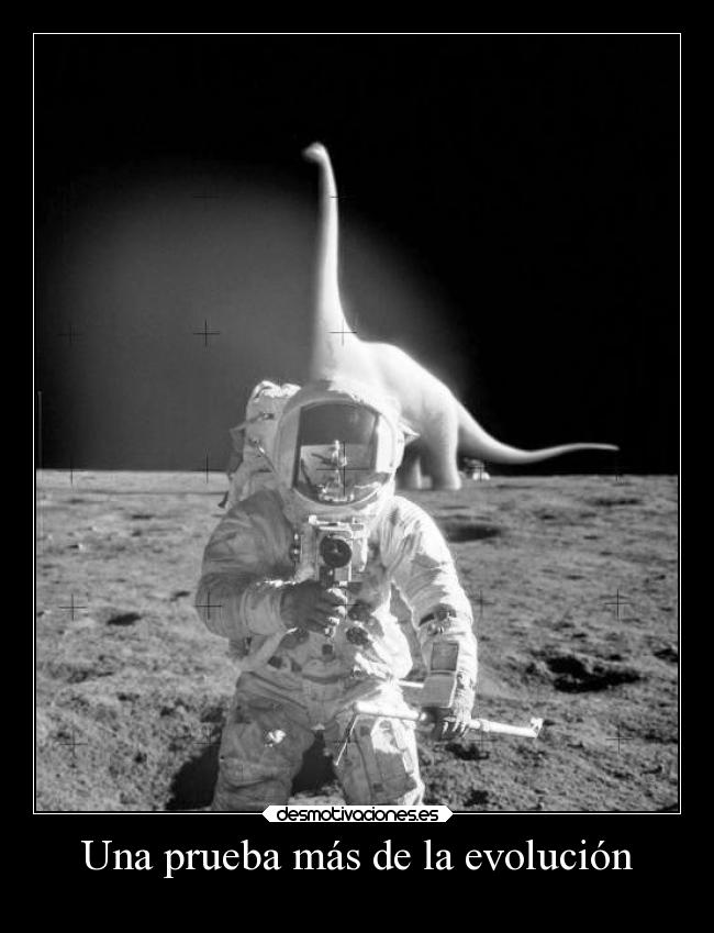 Una prueba más de la evolución - 