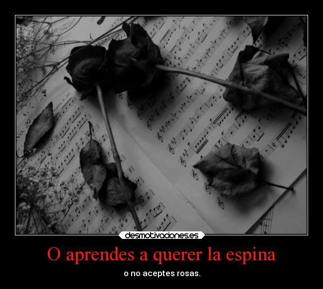 carteles amor espina rosas desmotivaciones